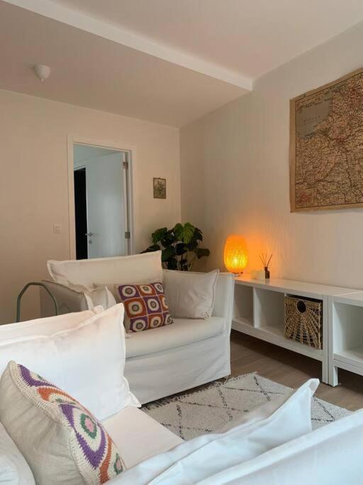 Cozy Studio In Centre Of Old Town Antwerpen Exterior foto